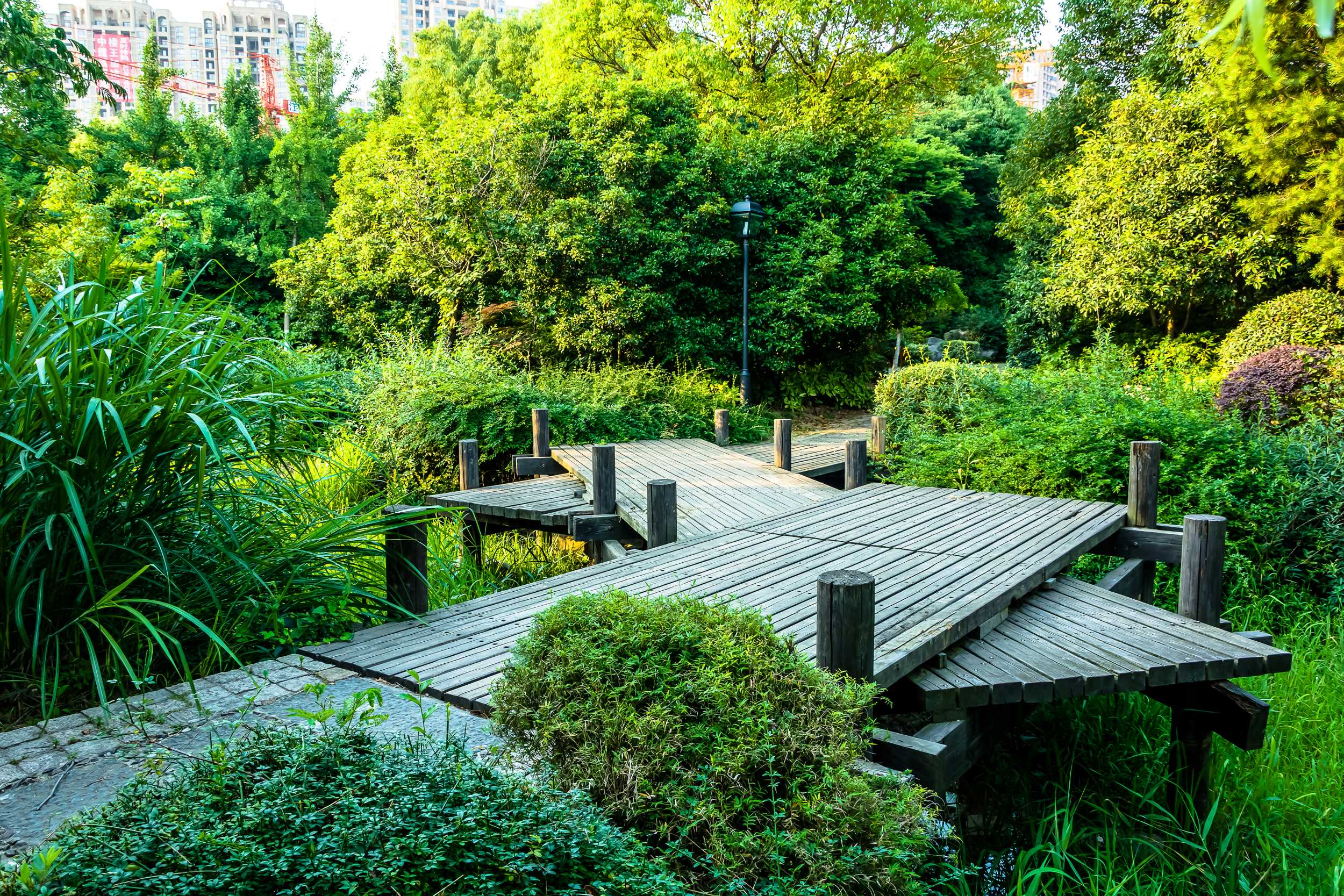 Landscaped garden